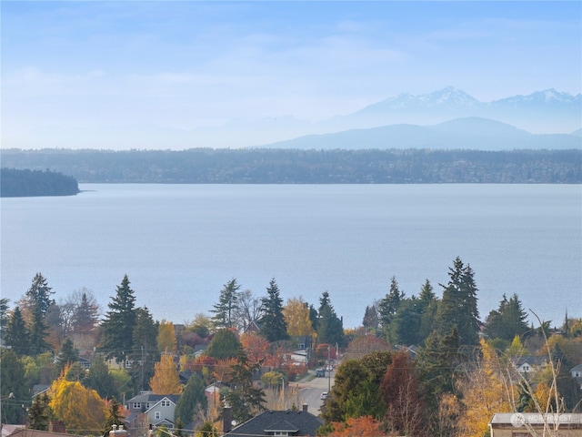 water view with a mountain view