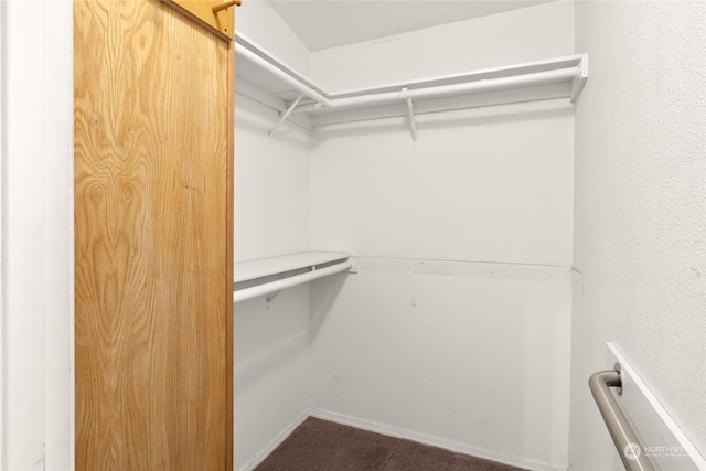1100 S Rosewood Dr Unit 405, Ellensburg, WA 98926 - view of spacious closet