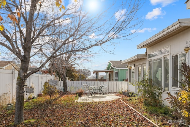 view of yard featuring a patio