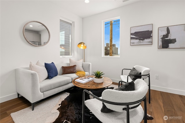 living room featuring dark hardwood / wood-style flooring