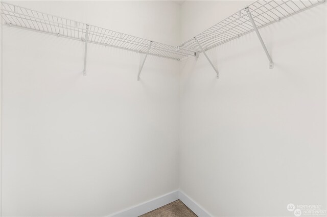 2555 Natola Dr SE, Olympia, WA 98501 - photo 29