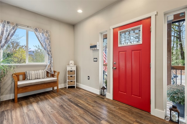 foyer featuring dark wood-type flooring