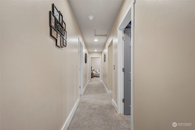 hallway with light colored carpet