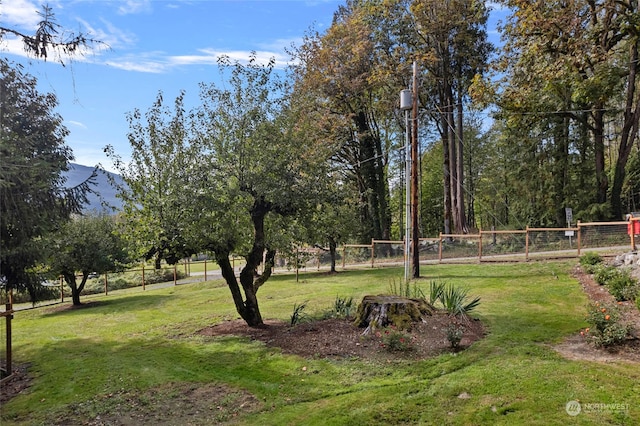 view of yard with a mountain view