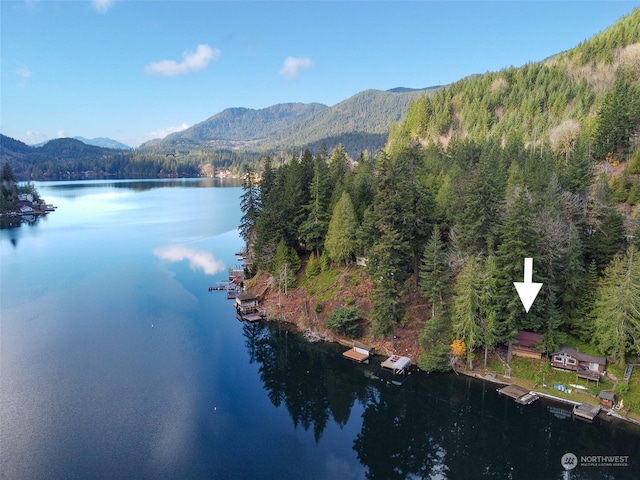 82 Sportsman Rd, Port Angeles, WA 98363 - photo 2