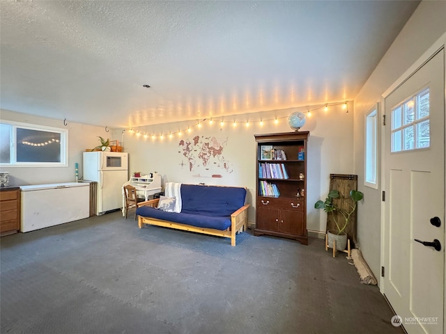 sitting room featuring a textured ceiling