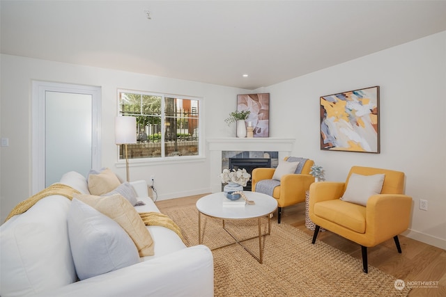 living room featuring light hardwood / wood-style floors