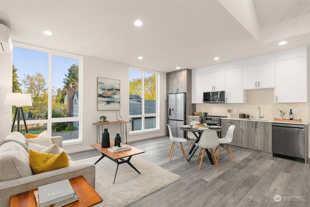 kitchen with sink, white cabinets, light hardwood / wood-style floors, and appliances with stainless steel finishes