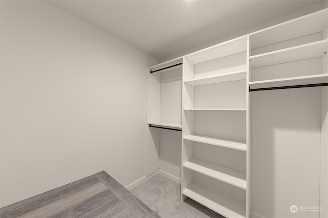 walk in closet with light carpet