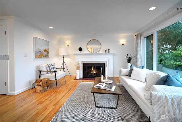 living room featuring hardwood / wood-style flooring and crown molding