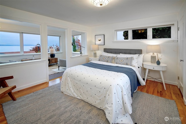 bedroom featuring wood-type flooring and multiple windows