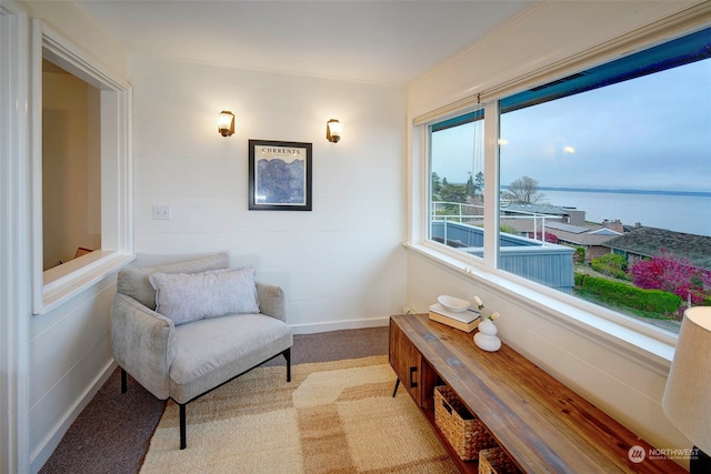 living area featuring a water view and light colored carpet