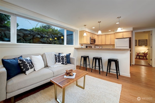 living room featuring light wood-type flooring