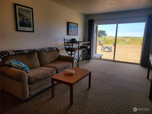 304 14th St NW Unit 103, Long Beach, WA 98631 - view of carpeted living area
