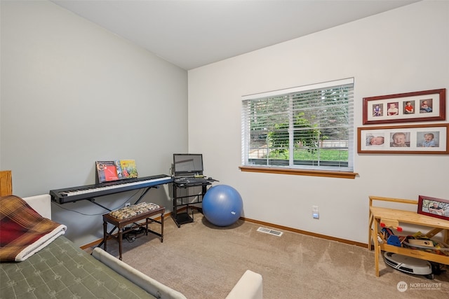 workout area with carpet flooring