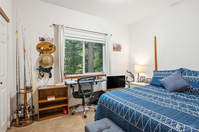 bedroom featuring carpet flooring