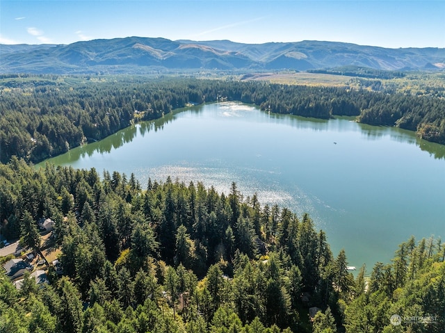 drone / aerial view with a water and mountain view