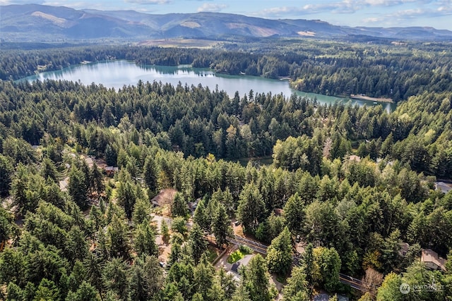 aerial view with a water and mountain view