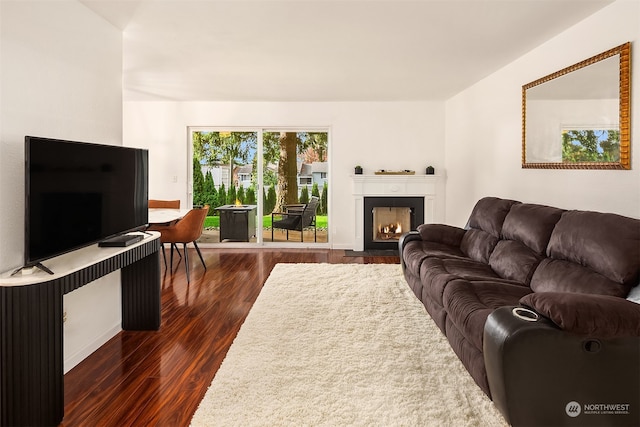 living room featuring dark wood-type flooring