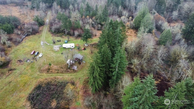 14647 Case Rd SW, Rochester WA, 98579 land for sale