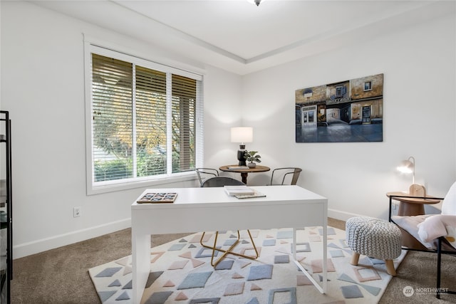 office area with light carpet and baseboards