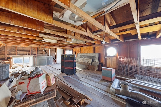 misc room featuring a healthy amount of sunlight and wooden walls