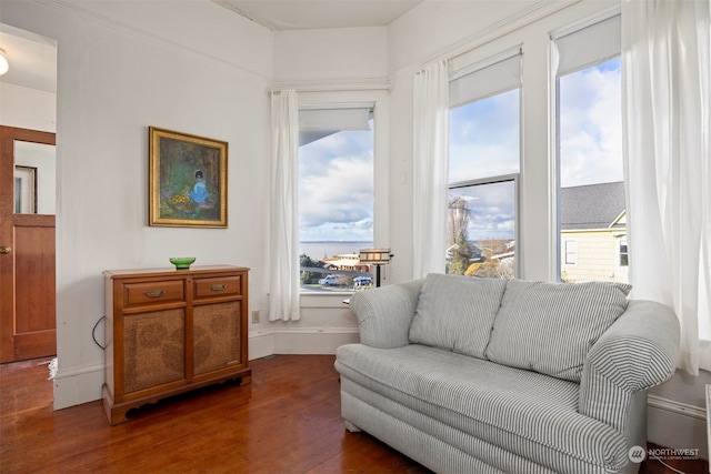 sitting room with dark wood-type flooring and a healthy amount of sunlight