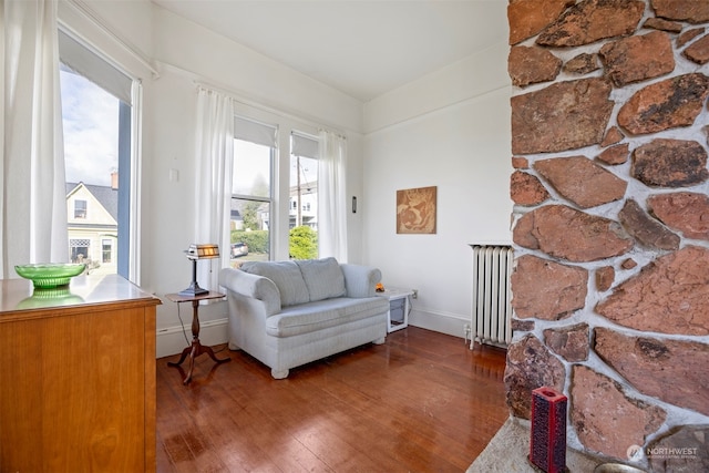 living area with radiator, a wealth of natural light, and hardwood / wood-style flooring