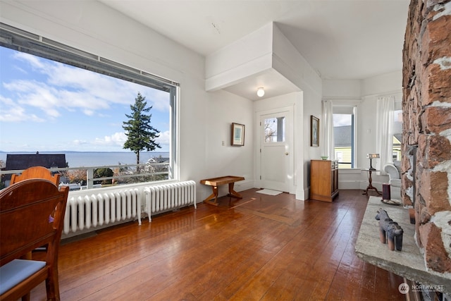 entrance foyer featuring hardwood / wood-style flooring, a wealth of natural light, a water view, and radiator