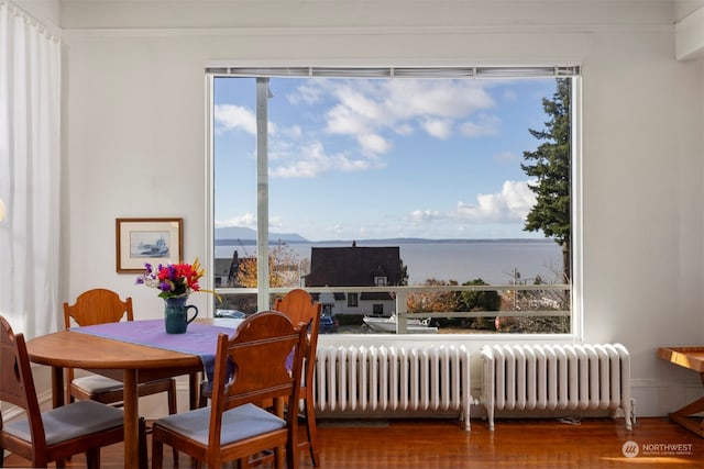 dining area featuring radiator, a water view, plenty of natural light, and hardwood / wood-style floors