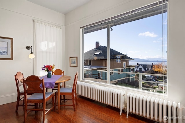 dining area with a mountain view, radiator heating unit, and dark hardwood / wood-style floors