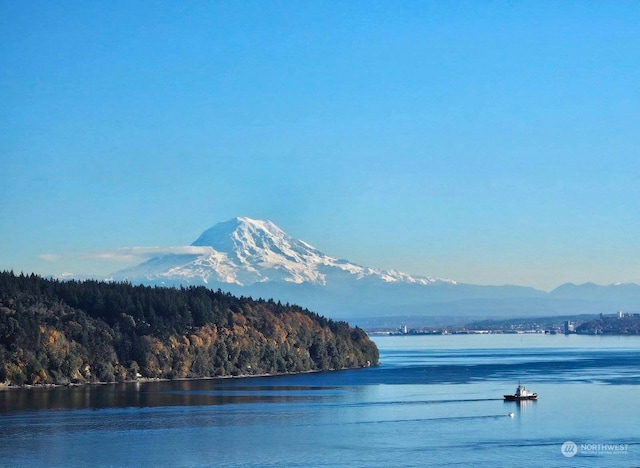 property view of water featuring a mountain view