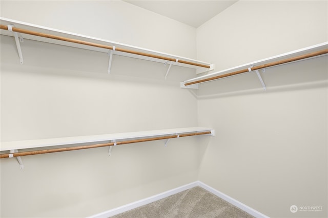 spacious closet featuring carpet floors