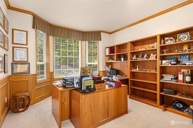 office space with light carpet, plenty of natural light, and crown molding