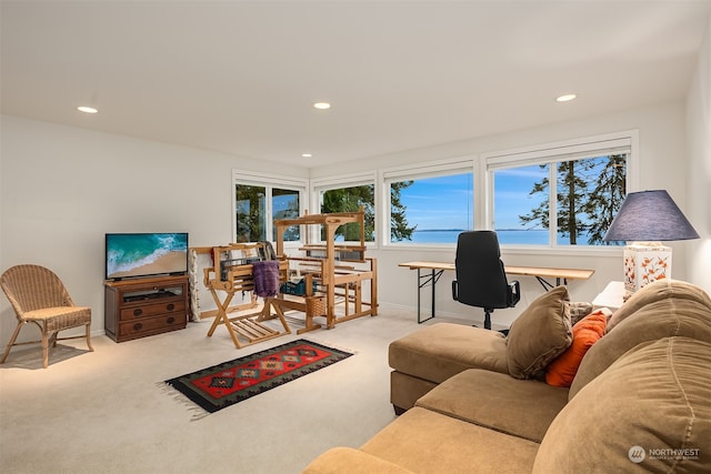 carpeted living room with a water view