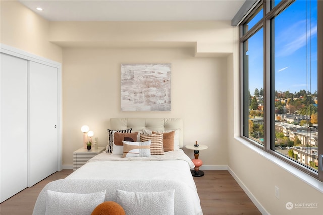 bedroom with wood-type flooring and a closet