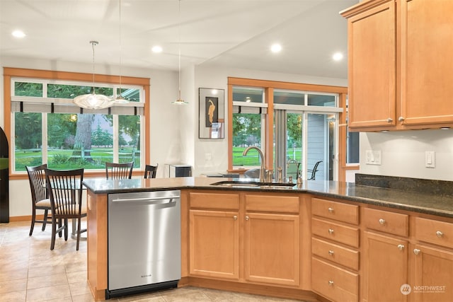 kitchen featuring stainless steel dishwasher, a healthy amount of sunlight, sink, and hanging light fixtures