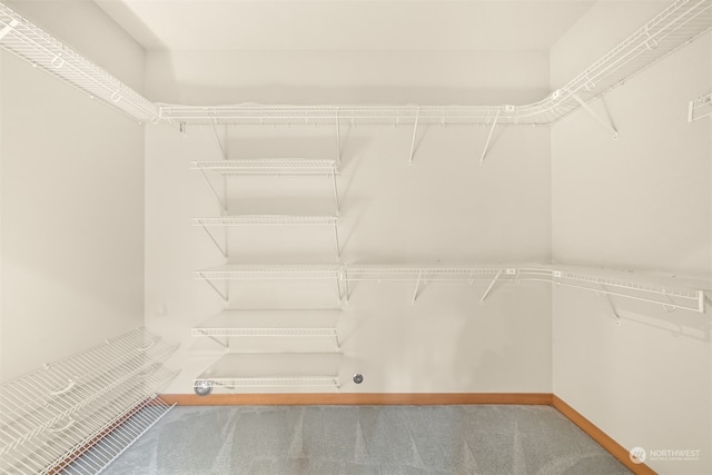 spacious closet with carpet