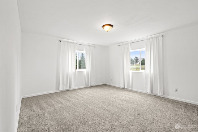 unfurnished room featuring carpet and a healthy amount of sunlight