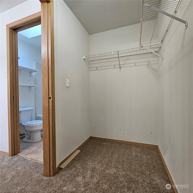 spacious closet with carpet floors