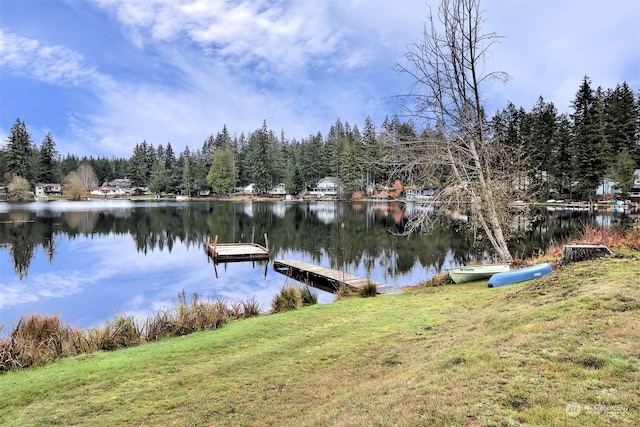 161 E Spencer Glen Dr, Shelton, WA 98584 - photo 19