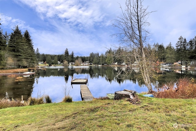 161 E Spencer Glen Dr, Shelton, WA 98584 - photo 20