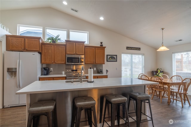 kitchen with appliances with stainless steel finishes, pendant lighting, vaulted ceiling, and a healthy amount of sunlight