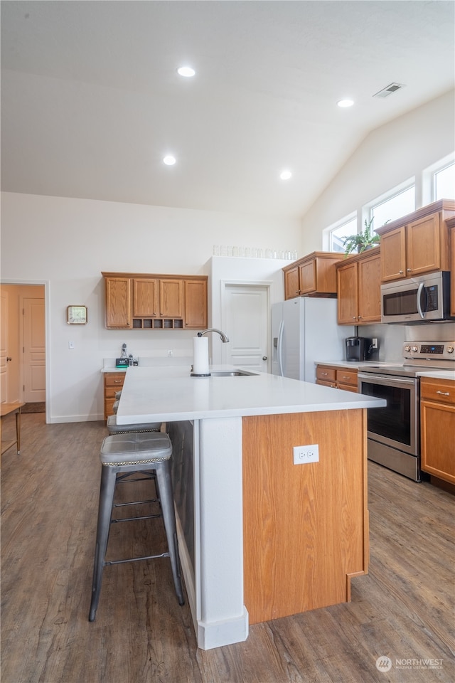 kitchen with sink, lofted ceiling, a kitchen island with sink, and appliances with stainless steel finishes