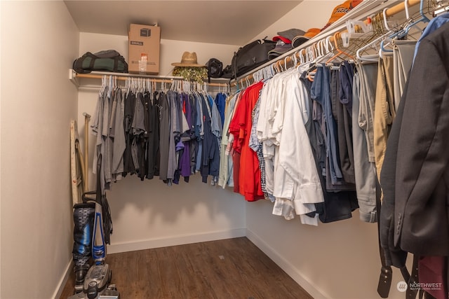 walk in closet with hardwood / wood-style flooring