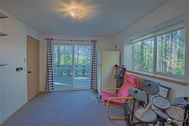 sitting room featuring carpet flooring