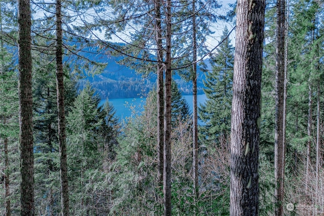 view of landscape with a water view