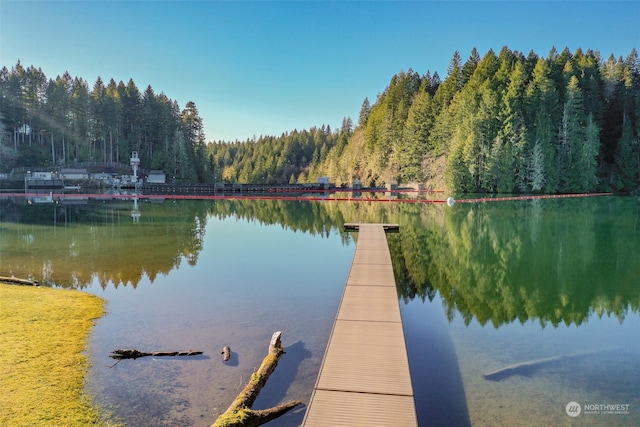 view of dock featuring a water view