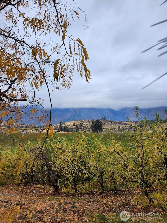 view of mountain feature