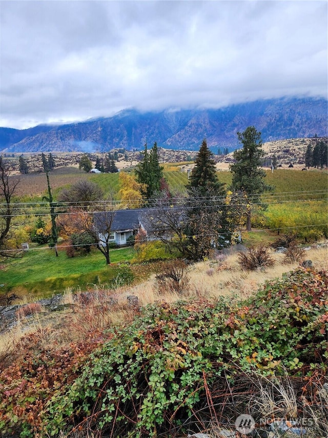 view of mountain feature